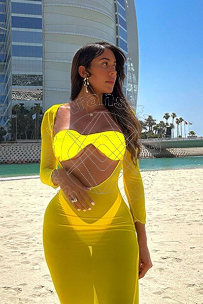 Foto 18 di Miss Lany trans Roma