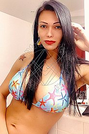 Foto di Michelle Gomes Pornostar