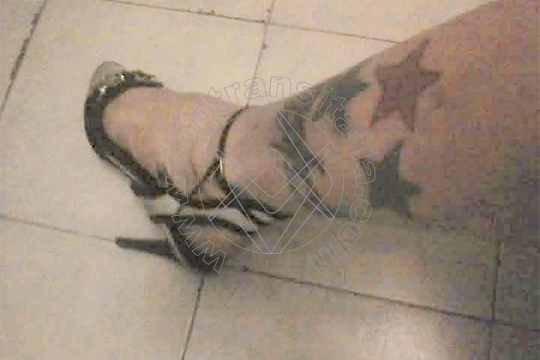 Foto 51 di Suzana Pantera trans Foggia