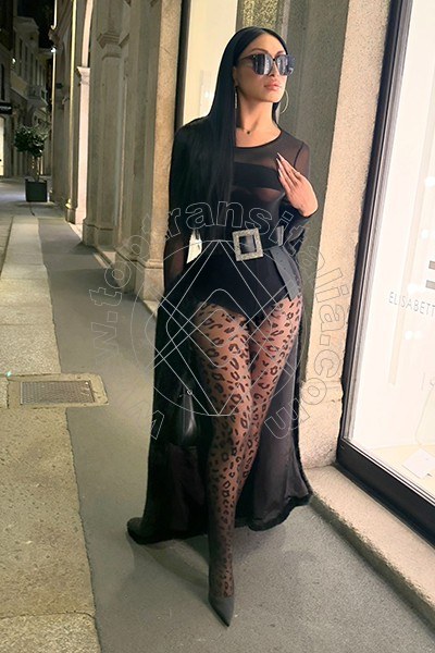 Foto 52 di Angel Bunny trans Roma