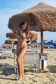 Foto di Transex Italiana