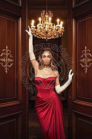 Foto di Transex Italiana