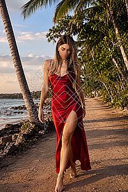 Foto di Transex Italiana