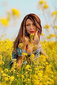 Foto di Monica Kicelly