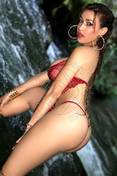 Foto 2 di Preziosa transexescort Palermo