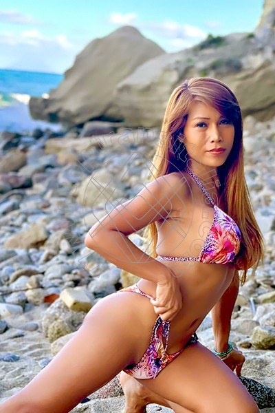 Foto 49 di Liisa Asiatica Ladyboy trans Genova