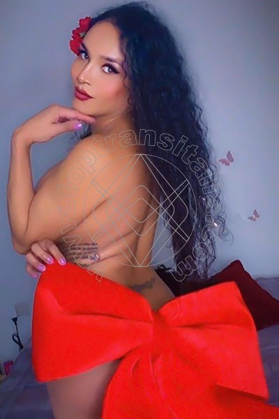 Foto 11 di Mindy trans Pistoia