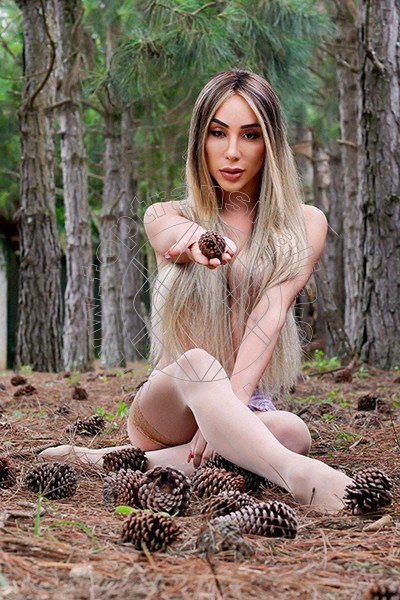 Foto 7 di Paloma Veiga Pornostar Brasileira trans Firenze