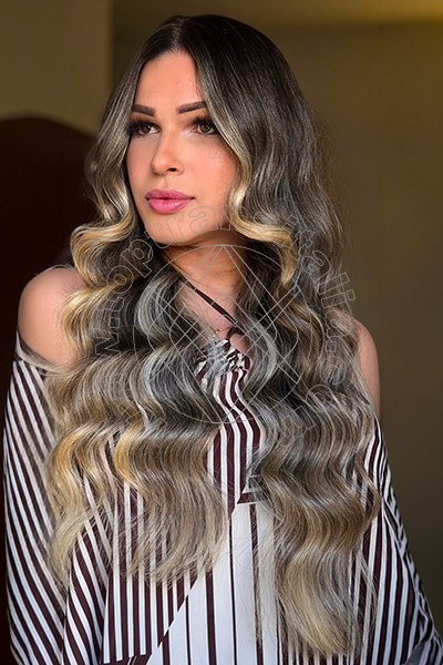 Foto 16 di Paulinha Ferraz trans Bologna