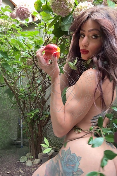 Foto 1 di Fernanda Ambrosio trans Milano