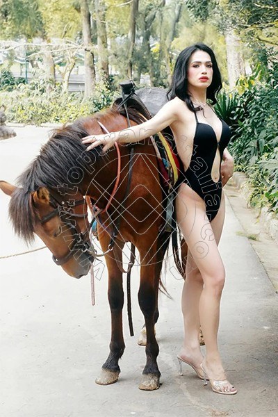 Foto 2 di Bianca Ladyboy trans Bergamo