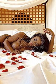 Foto di Violeta