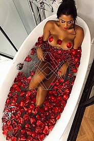 Foto di Violeta