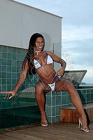 Foto di Thalia  brasiliana