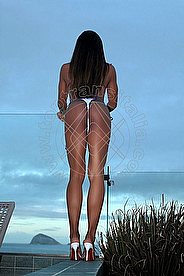Foto di Thalia  brasiliana