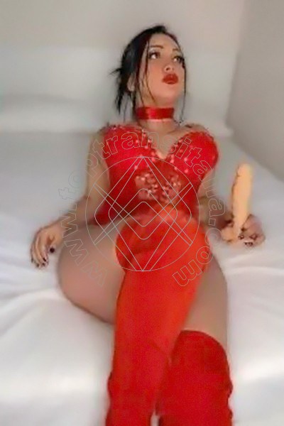 Foto 4 di Webcam Trans Lisa Xl Hot trans Pescara