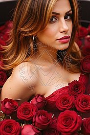 Foto di Alessia Transex