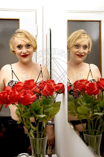 Foto 15 di Stefy trans Milano