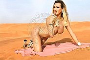 Foto di Jhoany Wilker Pornostar