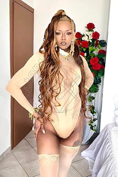 Foto 4 di Bruna Diaz XL trans Porto sant'elpidio