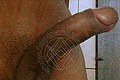  Caltanissetta Desia 388.8087953 foto selfie 7