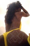  Colonnella Graicy Ohara Pornostar 389.7696422 foto selfie 16