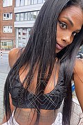  D�sseldorf Adhara 0049.15212409124 foto selfie 14
