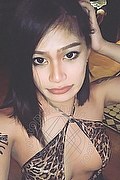  Padova Akita Trans Asiatica 389.4245796 foto selfie 7
