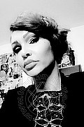  Treviso Valeria 338.8718849 foto selfie 323