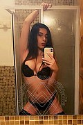 Foto selfie 2 di Valentina Italianissima transescort Vicenza