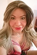  Prato Tainá Oliveira 328.5382487 foto selfie 127