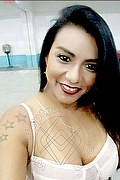  Bel�m Pamela Top Class 0055.9184077902 foto selfie 3