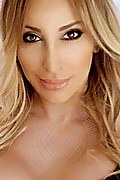  Wiesbaden Miss Lena 0049.15171261463 foto selfie 6