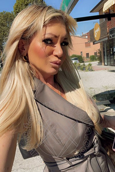 Foto selfie 263 di Pamy La Diva Stellare trans Villorba