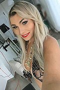  Curitiba Giselle Sakai 0055.4197484988 foto selfie 12