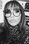  Treviso Valeria 338.8718849 foto selfie 247