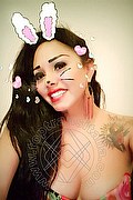  Desenzano Del Garda Anaconda Tanti Motivi 380.8625582 foto selfie 16