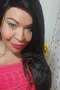  Prato Tainá Oliveira 328.5382487 foto selfie 114