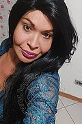  Prato Tainá Oliveira 328.5382487 foto selfie 109