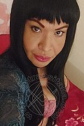  Prato Tainá Oliveira 328.5382487 foto selfie 105