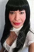  Prato Tainá Oliveira 328.5382487 foto selfie 161