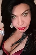  Prato Tainá Oliveira 328.5382487 foto selfie 149
