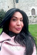  Prato Tainá Oliveira 328.5382487 foto selfie 140