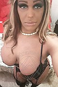  Pavia Channel 338.4097317 foto selfie 12