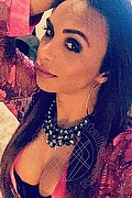  Bergamo Haycka Pornostar 393.1191544 foto selfie 23
