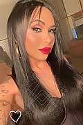  Bergamo Haycka Pornostar 393.1191544 foto selfie 4