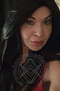  Prato Tainá Oliveira 328.5382487 foto selfie 94
