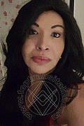  Prato Tainá Oliveira 328.5382487 foto selfie 91