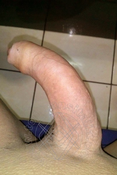 Foto selfie hot 2 di Regina trans Gorizia