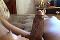 Padova Izabelli Frazao Pornostar 327.6619130 foto selfie 73
